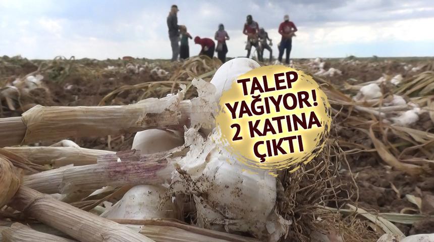 İspanya ve Rusya sıraya girdi: Almanya da istedi ama kalmadı