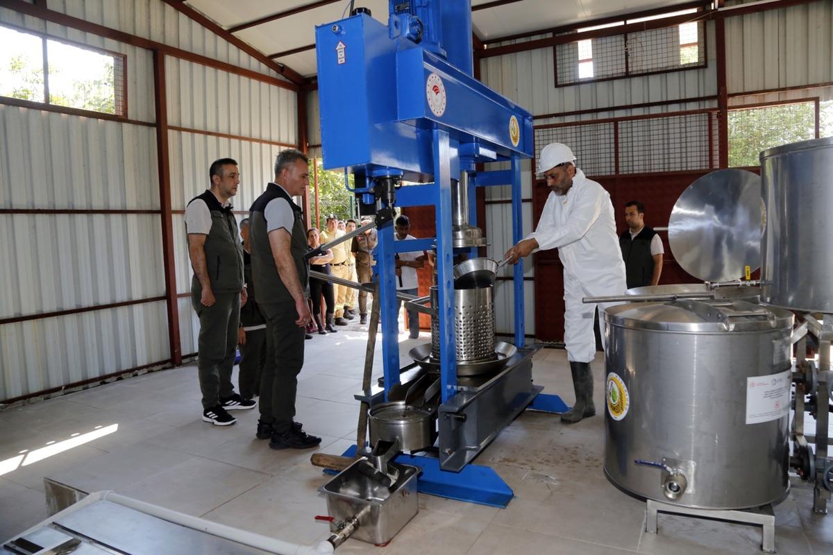 Kilosu 15 bin TL: Dünyada 3 bölgede var, köylüler çalışıyor 7