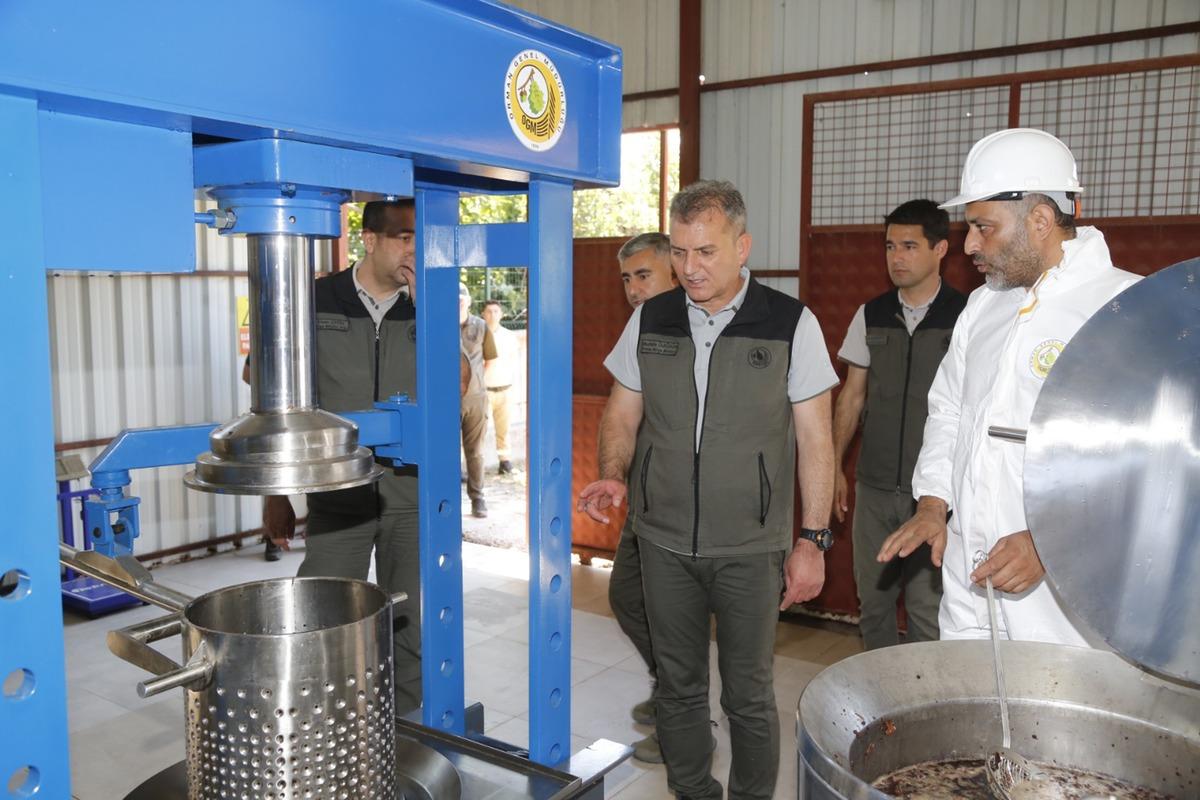 Kilosu 15 bin TL: Dünyada 3 bölgede var, köylüler çalışıyor 8