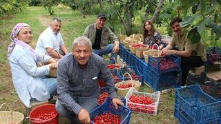 Geçen yıl yoktu, bu yıl yüzde 30’u yurt dışına gidiyor
