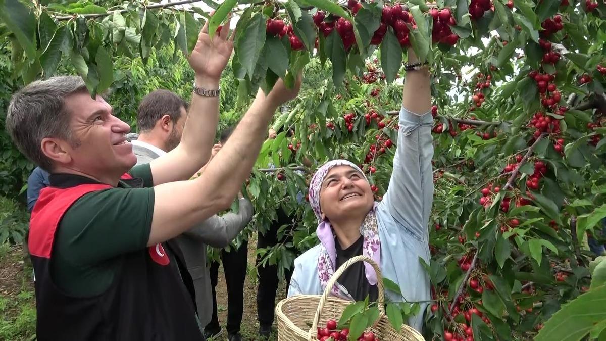 Geçen yıl yoktu, bu yıl yüzde 30’u yurt dışına gidiyor 2