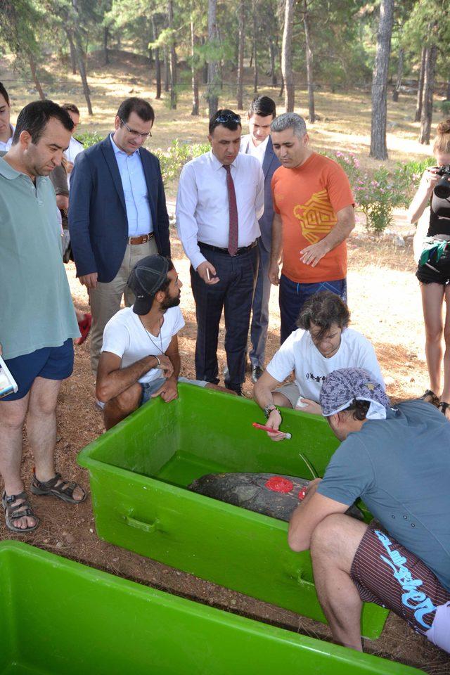 Caretta carettaları uluslararası sularda uydudan takip edecekler