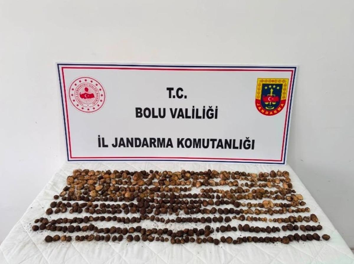 Kilosu 10 bin lira ama... Uyanıklar bunu hesap etmemişti! Dudak uçuklatan ceza 1