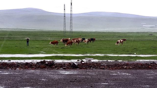 Ardahan'da şiddetli yağmur ve dolu taşkınlara neden oldu