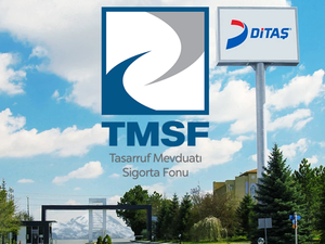 Hisseler tabana oturmuştu Ditaş resmen TMSF'ye devredildi
