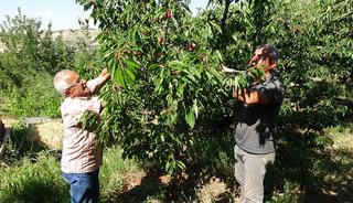 G&uuml;nl&uuml;k 3 bin TL'ye iş&ccedil;i bulamıyorlar: Talep her ge&ccedil;en g&uuml;n artıyor