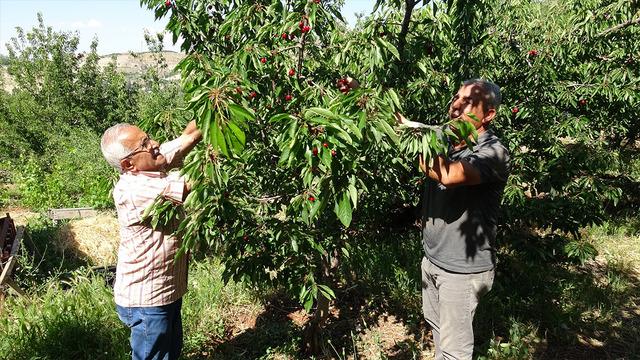 Günlük 3 bin TL'ye işçi bulamıyorlar: Talep her geçen gün artıyor
