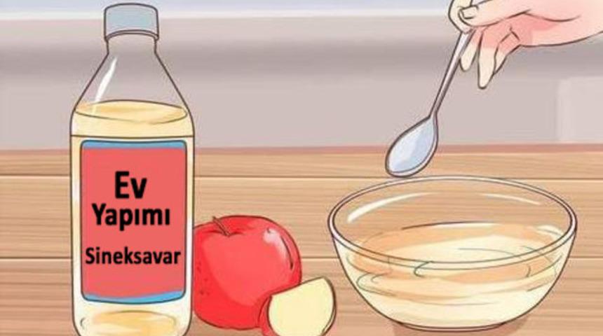 Evinizi sivrisinekler ele geçirmeden: 2 saat içerisinde haşereleri yok eden sprey