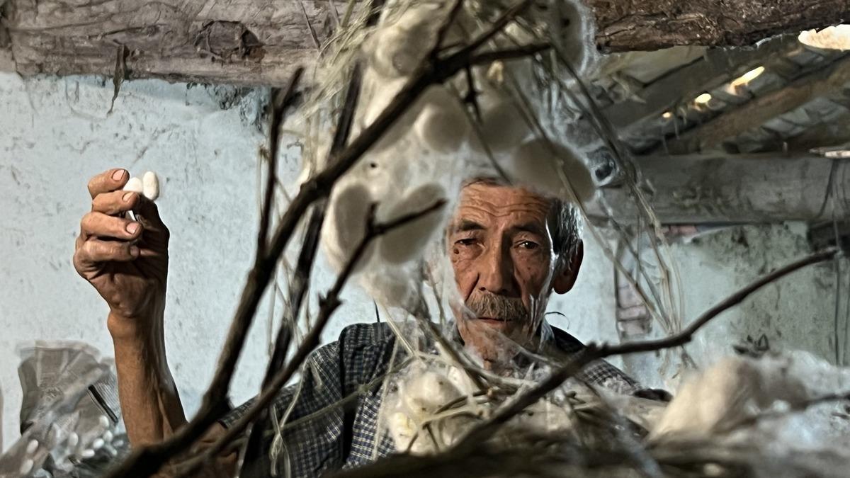 Dedesinden öğrendi: Bunun kadar gelir veren bir iş daha yok 10