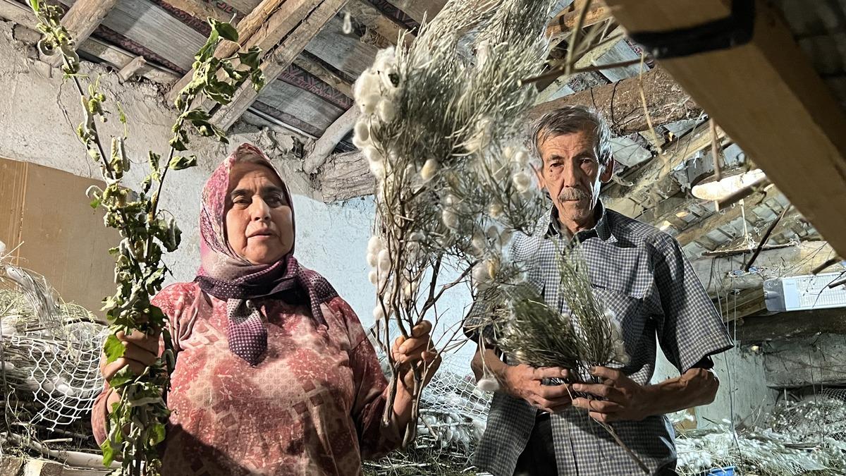 Dedesinden öğrendi: Bunun kadar gelir veren bir iş daha yok 4