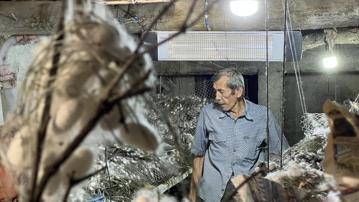 Dedesinden öğrendi: Bunun kadar gelir veren bir iş daha yok 3