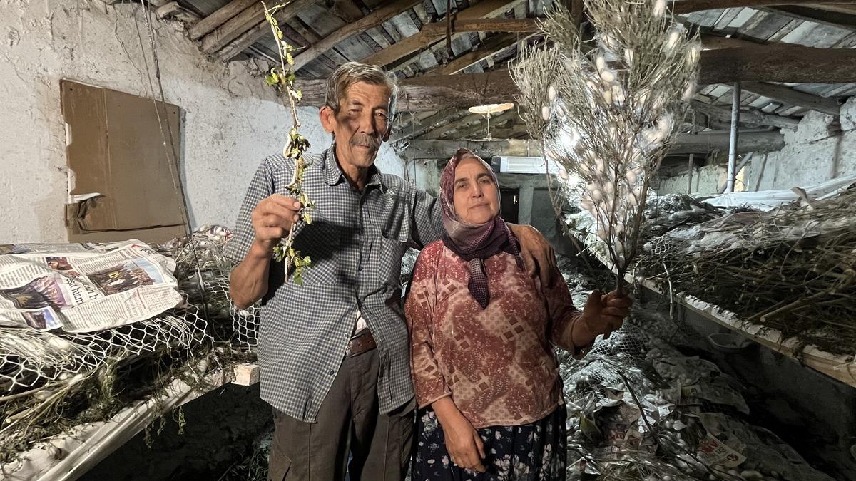 Dedesinden öğrendi: Bunun kadar gelir veren bir iş daha yok 2