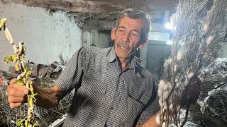 Dedesinden öğrendi: 'Bunun kadar gelir veren bir iş daha yok'