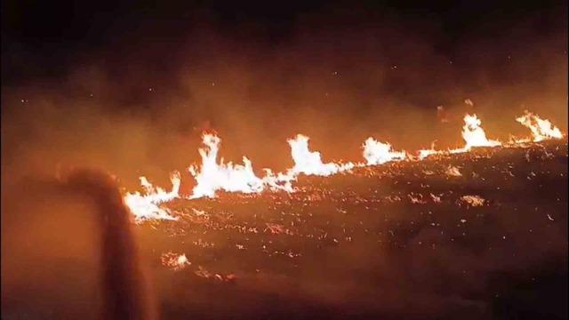 Şırnak’ta çıkan yangında 300 dönümlük alan küle döndü 3
