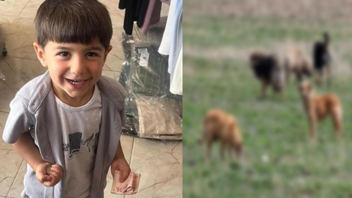 İçişleri Bakanlığı duyurdu! Saray belediye başkanı hakkında soruşturma izni verildi 1