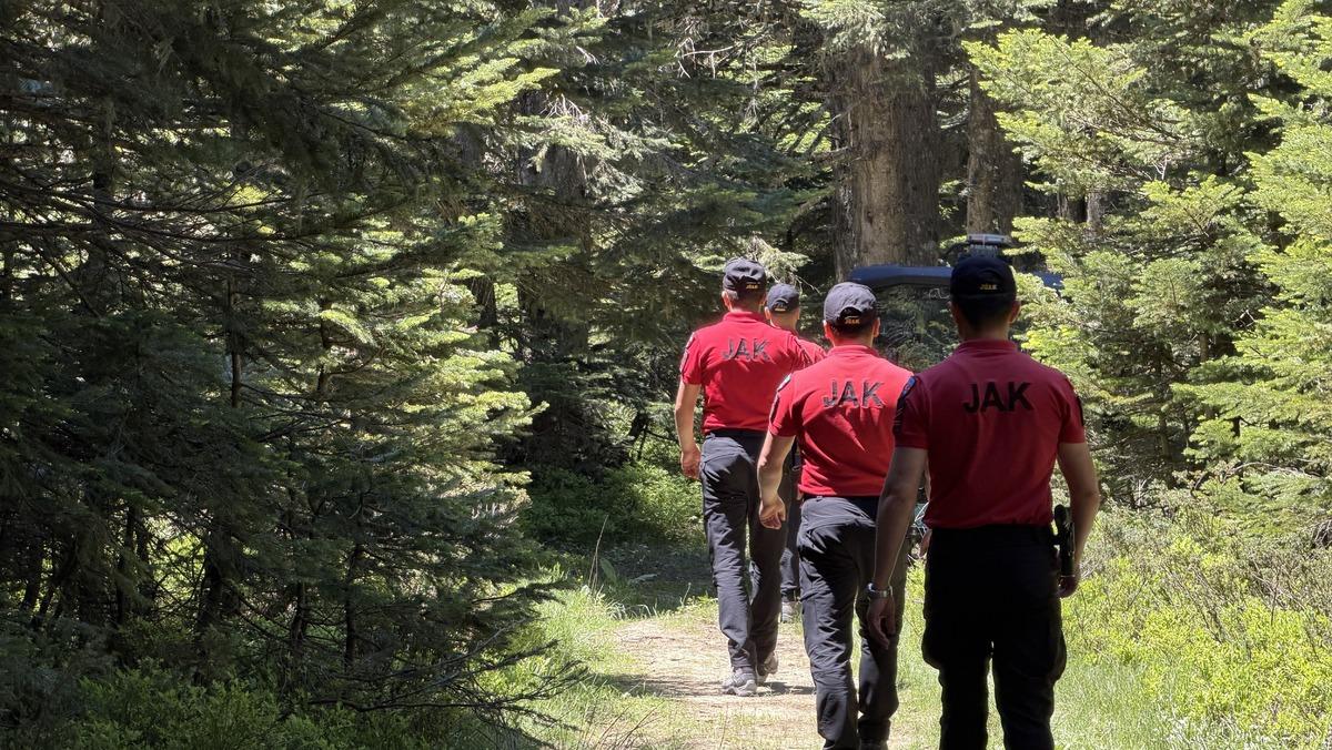 Valilik duyurdu! Bursa da ormanlara girişler yasaklandı 1