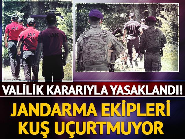 Valilik duyurdu! Ormanlara girişler yasaklandı