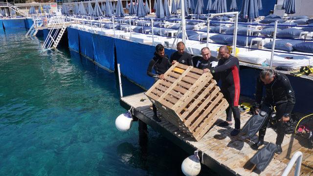 Akdeniz'in antik mutfağı denize daldı