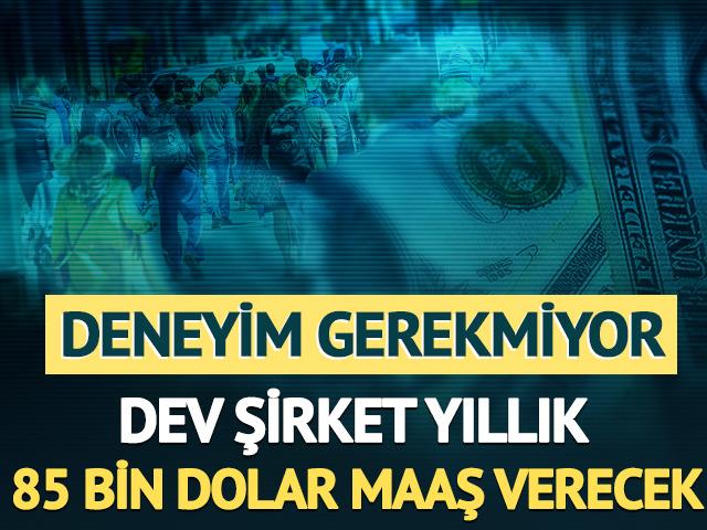 Dev şirket yıllık 85 bin dolar maaş verecek: Deneyim gerekmiyor
