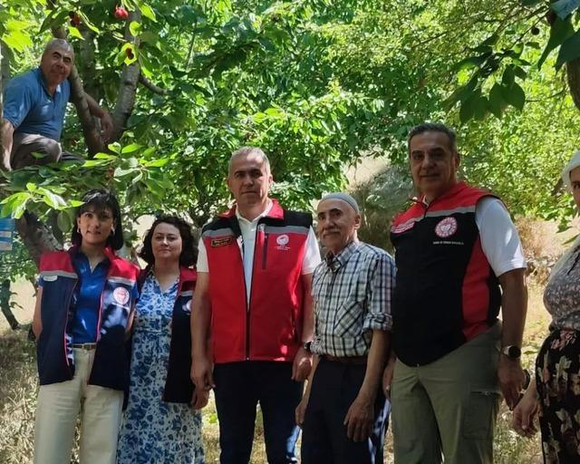 Aydın&rsquo;da kiraz hasadı s&uuml;r&uuml;yor 2