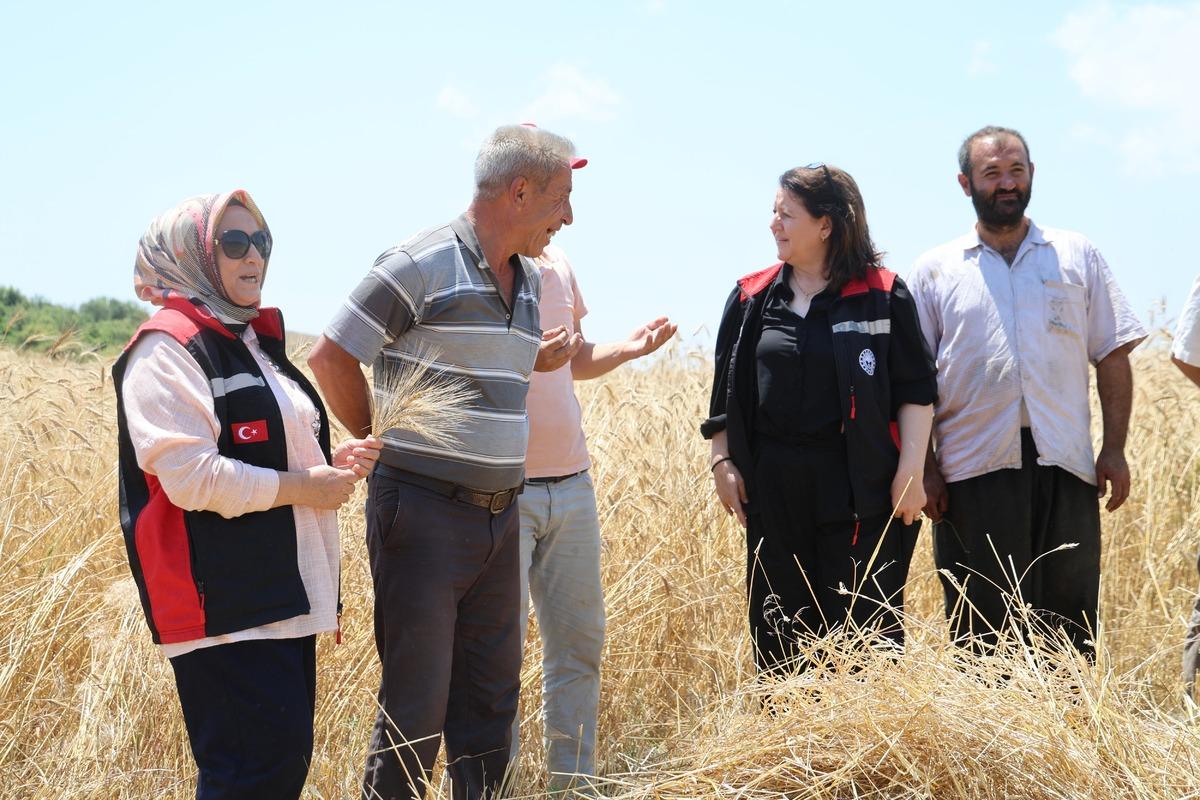 Kilosu 50 TL den satılıyor: Alıcılar şimdiden sıraya girdi 5