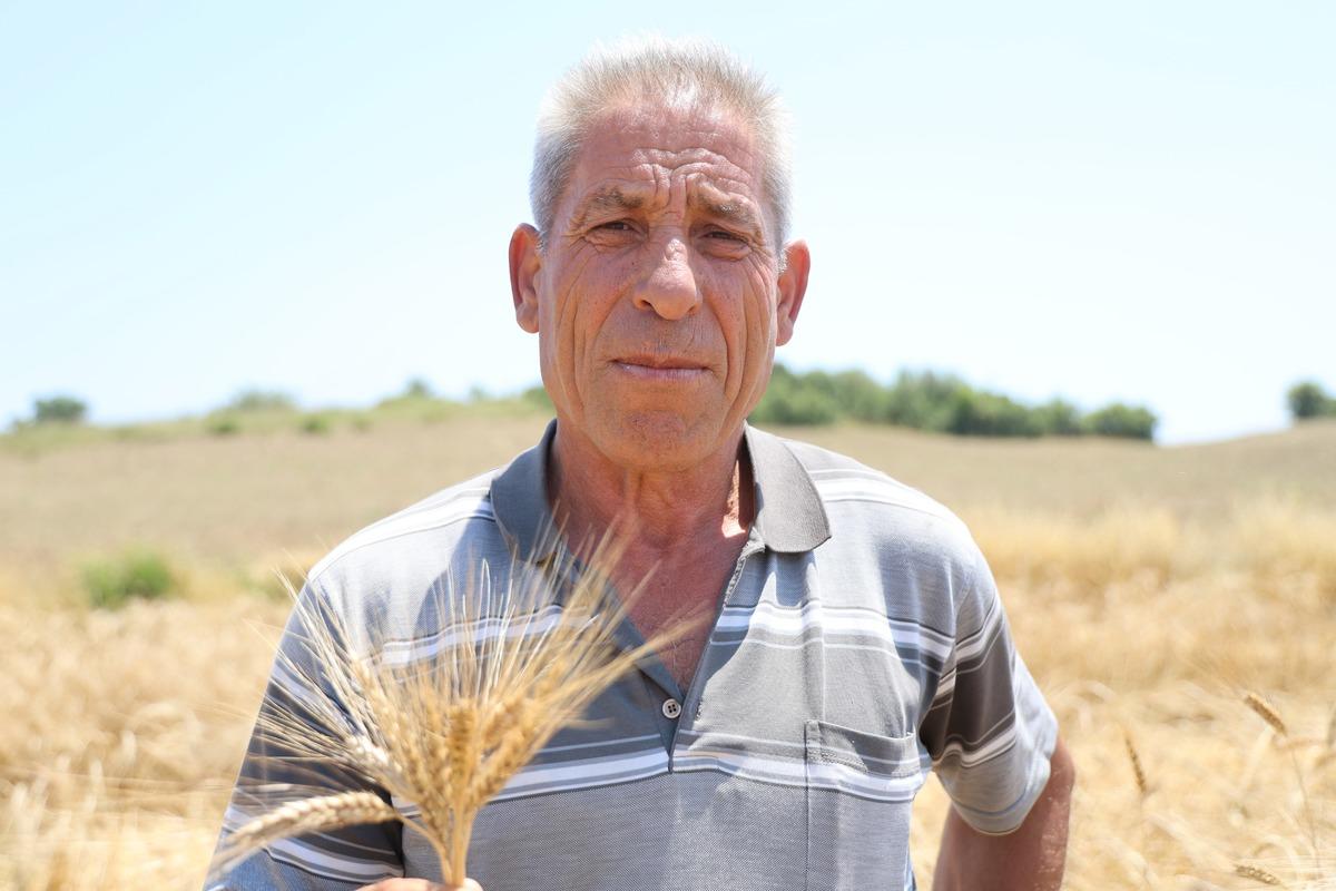 Kilosu 50 TL den satılıyor: Alıcılar şimdiden sıraya girdi 2