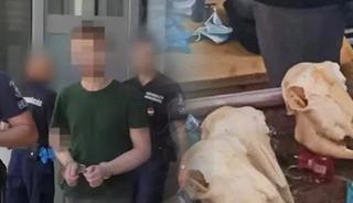 Avrupa'nın g&ouml;beğinde vahşet! "İnsan par&ccedil;alarından yemek hazırlayıp yedim"