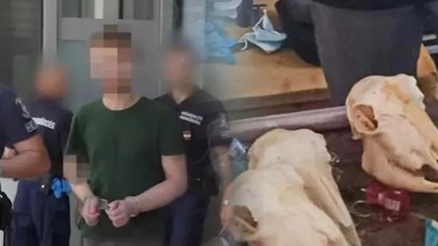 Budapeşte'de Hastane Hademesinin Evinde İnsan Kalıntıları Ele Geçirildi