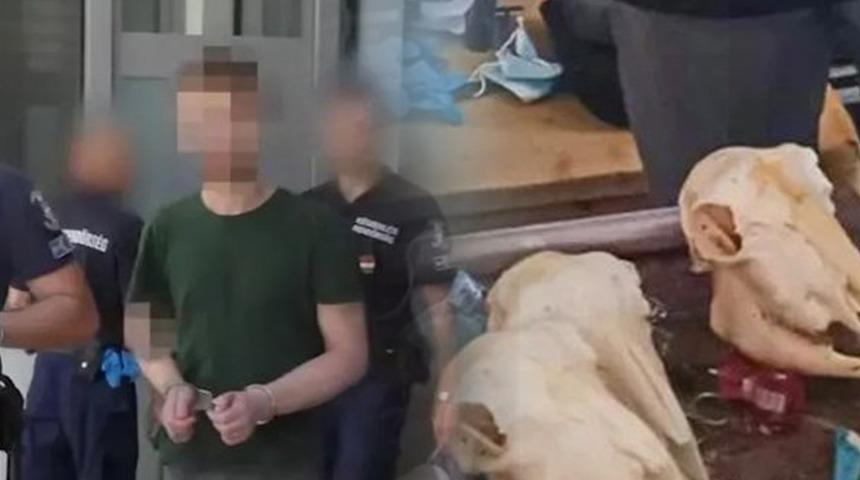 Avrupa'nın g&ouml;beğinde vahşet! "İnsan par&ccedil;alarından yemek hazırlayıp yedim"