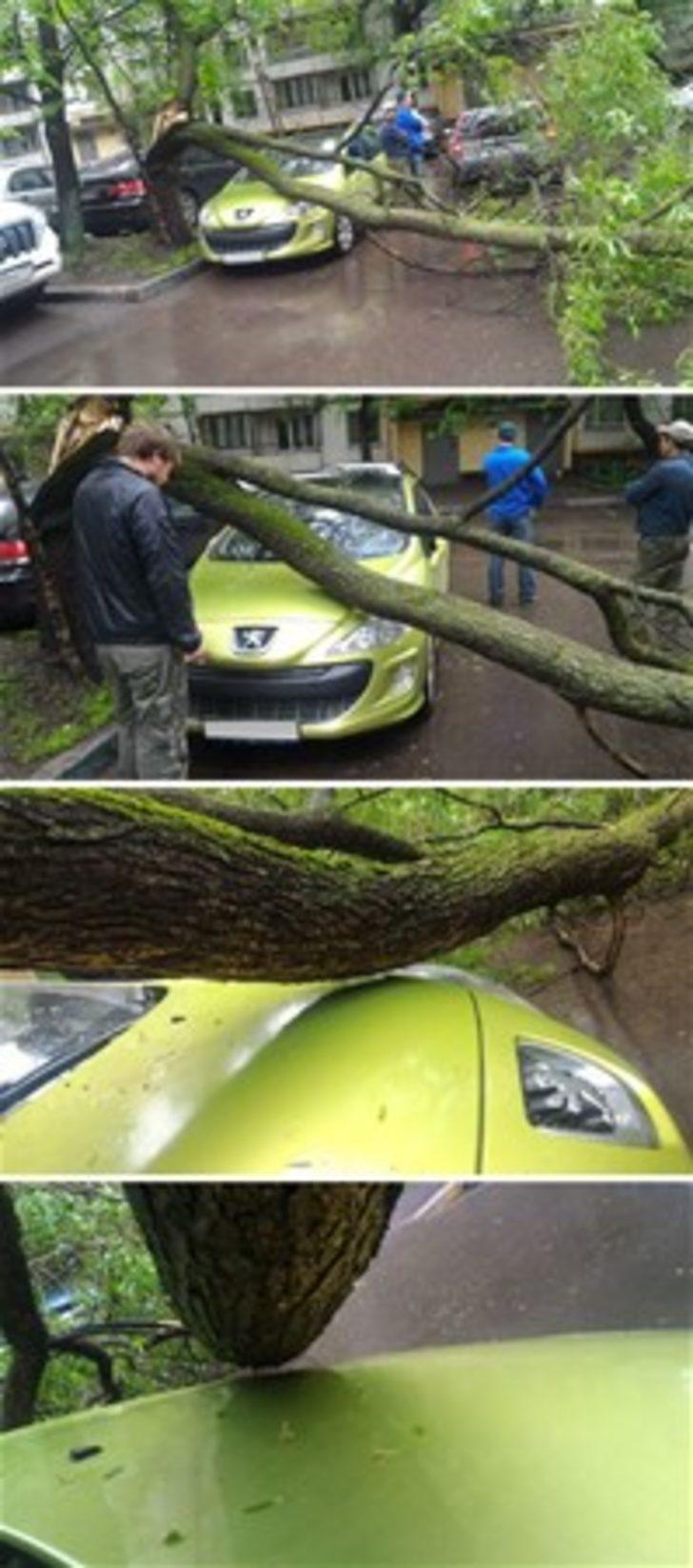 Felaketin kıyısından dönen insanlar  G4