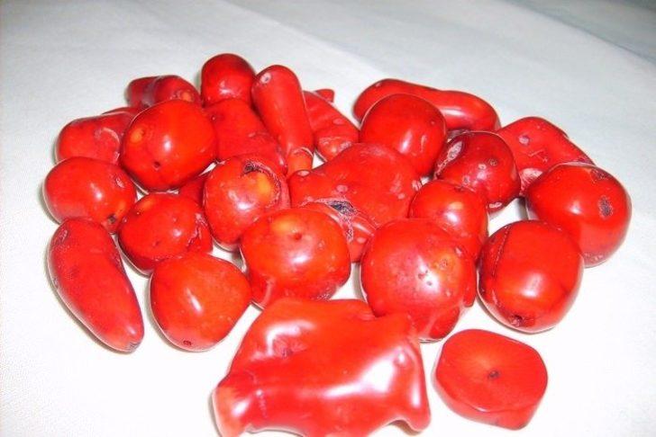 BAKIMI