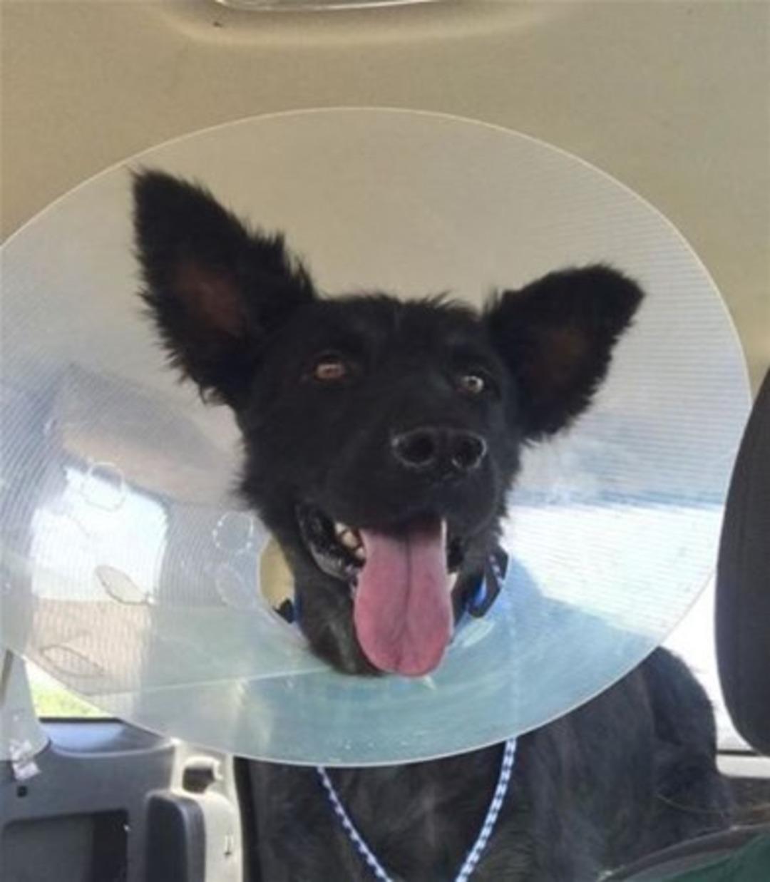 Bakın nasıl değiştiler