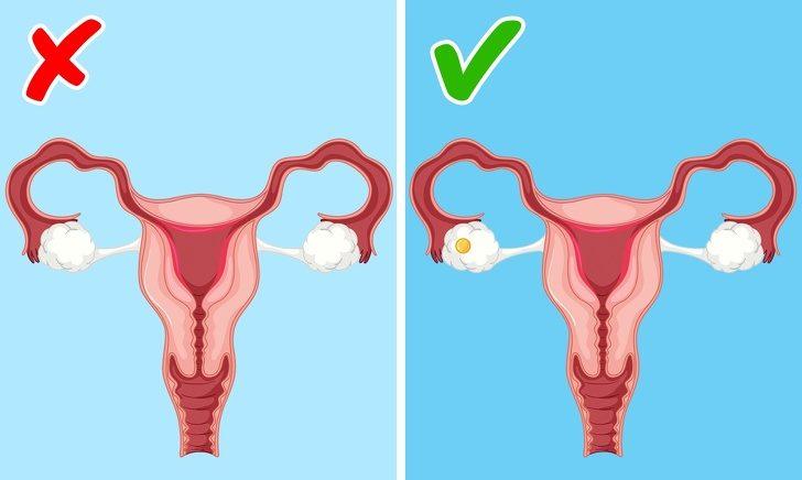 Birçok kadın vücudu hakkındaki bu gerçekleri bilmiyor G1