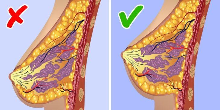 Birçok kadın vücudu hakkındaki bu gerçekleri bilmiyor G4