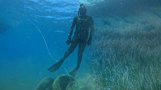 Bodrum’da gizli doğa hazinesi keşfedildi: 40 metre derinlikte!