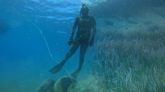 Bodrum’da gizli doğa hazinesi keşfedildi: 40 metre derinlikte!
