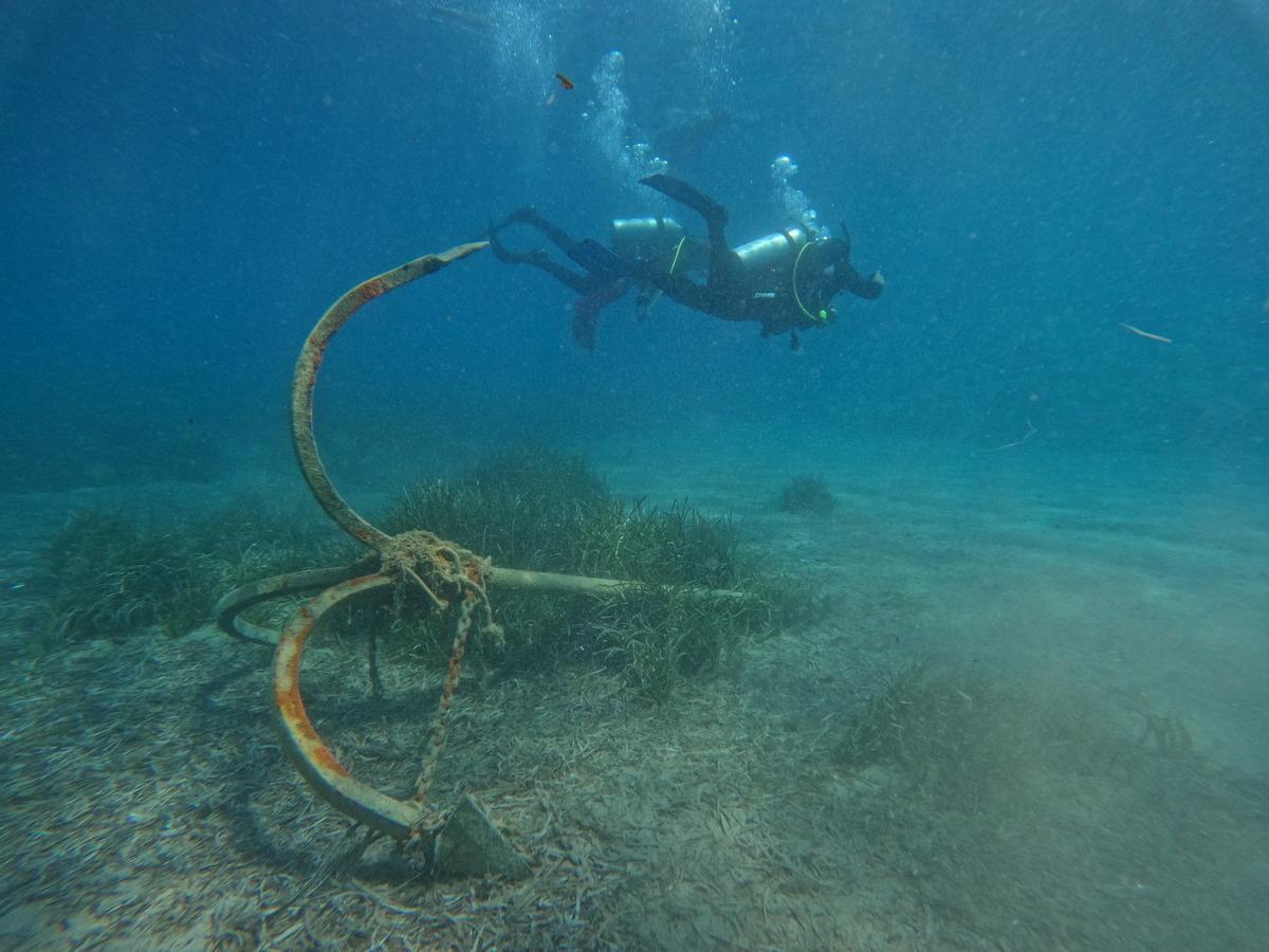 Bodrum&rsquo;da gizli doğa hazinesi keşfedildi: 40 metre derinlikte! 1