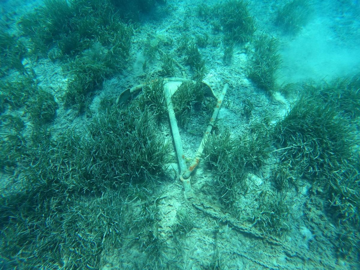 Bodrum&rsquo;da gizli doğa hazinesi keşfedildi: 40 metre derinlikte! 5