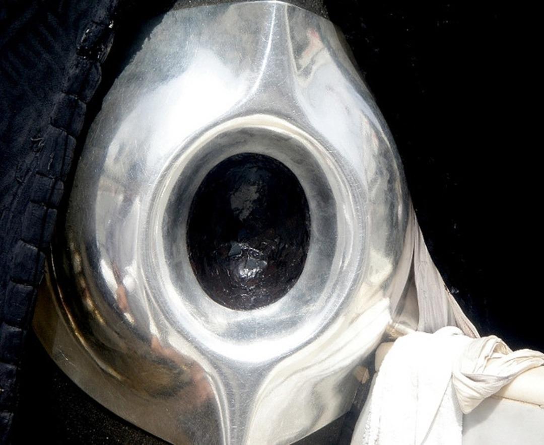 Cennetten geldi! Herkes g&ouml;rmek i&ccedil;in oraya akın ediyor