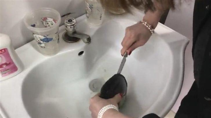 Devasa istiridyenin içinden çıkanlar şok etti G1