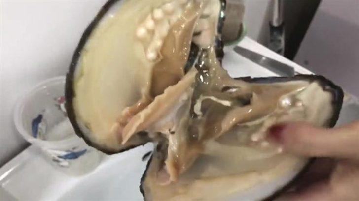 Devasa istiridyenin içinden çıkanlar şok etti G3