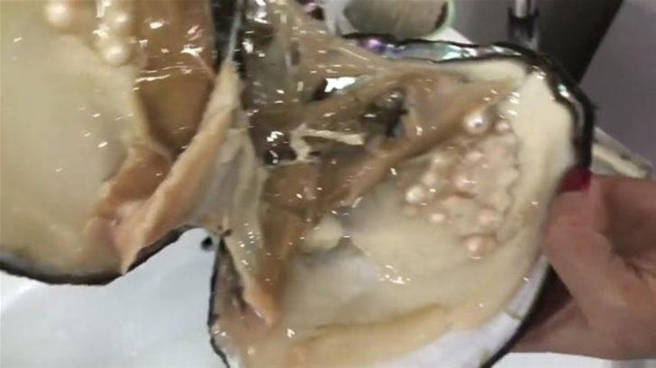 Devasa istiridyenin içinden çıkanlar şok etti G5