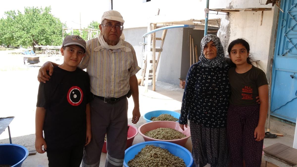 Kilosu 500 TL : Her yıl talep artıyor, siparişlere yetişemiyorlar  5