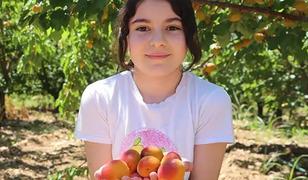 Kayısı rekoltesi &uuml;reticinin y&uuml;z&uuml;n&uuml; g&uuml;ld&uuml;rd&uuml;