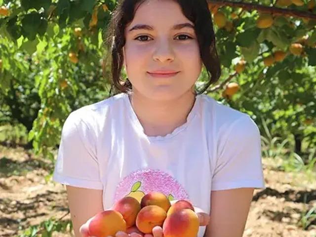 Kayısı rekoltesi &uuml;reticinin y&uuml;z&uuml;n&uuml; g&uuml;ld&uuml;rd&uuml;