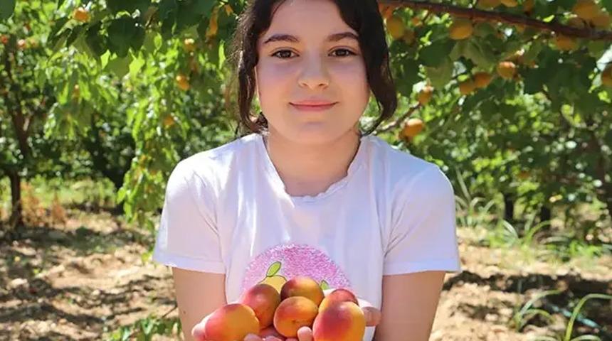 Kayısı rekoltesi &uuml;reticinin y&uuml;z&uuml;n&uuml; g&uuml;ld&uuml;rd&uuml;