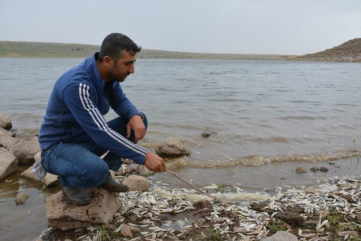 Korkutan görüntü! Yüzlerce balık kıyıya vurdu G2