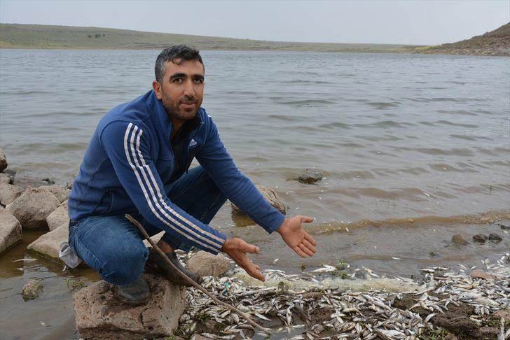 Korkutan görüntü! Yüzlerce balık kıyıya vurdu G4