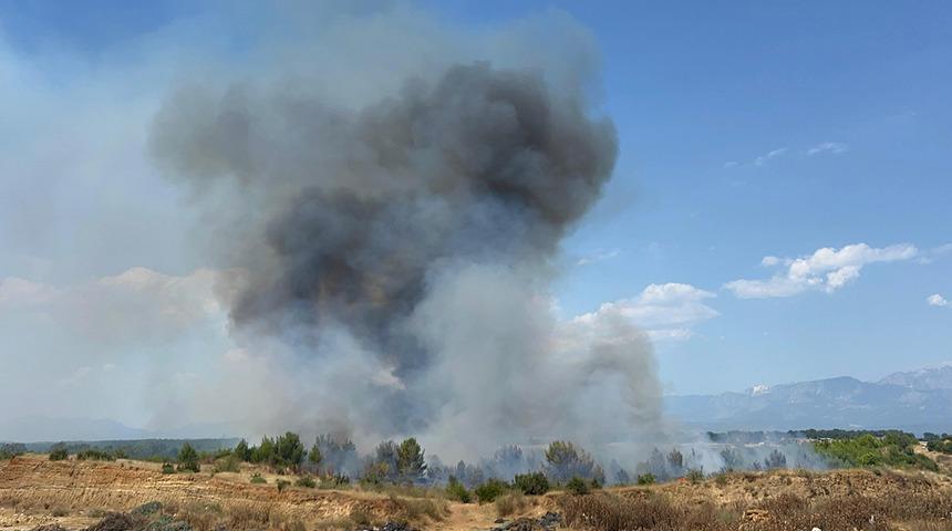 Antalya'da orman yangını!