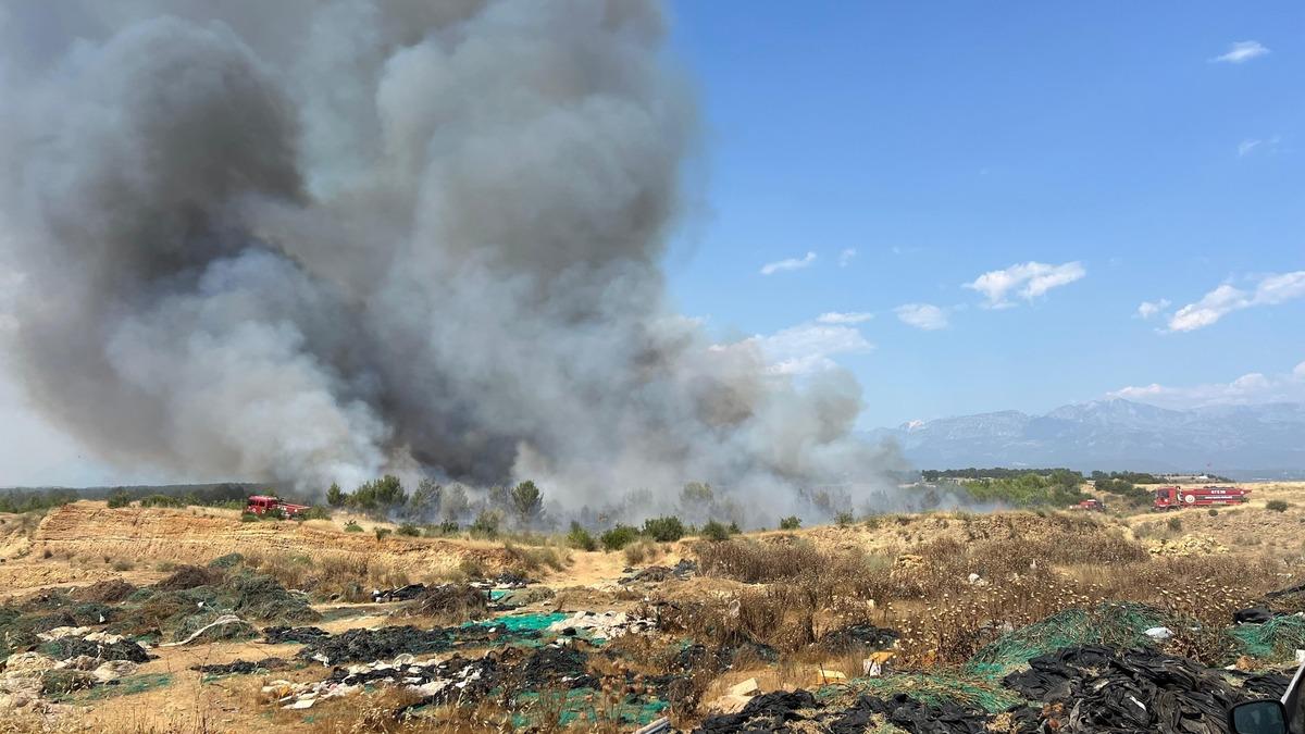 Antalya da orman yangını! 2